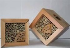 Natuurpunt organiseert NatuurAvontuur