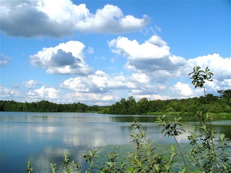 Natuurwandeling voor vroege vogels