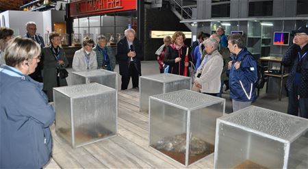 Neos op verkenning door het Waasland