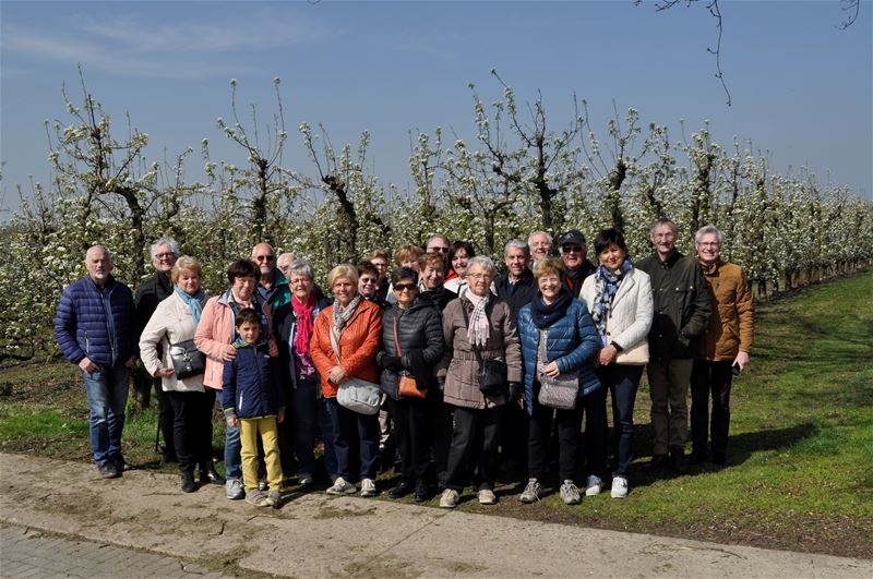 Neos wandelde tussen de bloesem