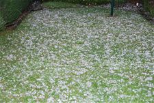 Nieuw onweer boven Heusden