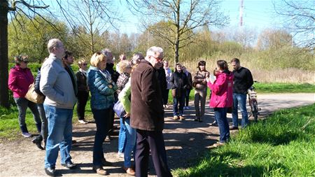 Nieuwe kaarten en ambassadeurs van De Wijers