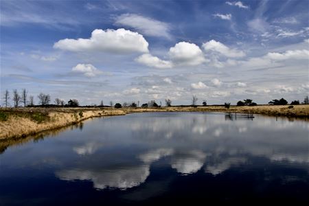 Nieuwe wandelseizoen is gestart