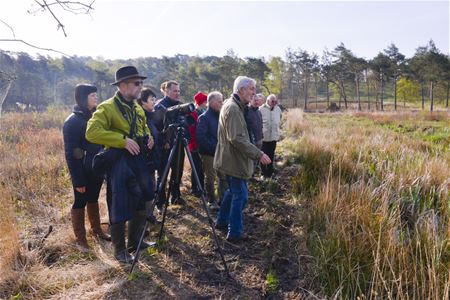 Ochtendlijke onderdompeling in de natuurrijkdom