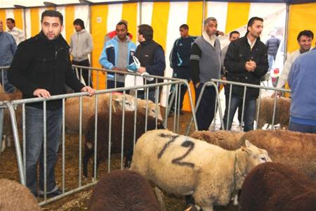 Offerfeest draait op volle toeren