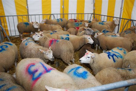 Offerfeest is gestart