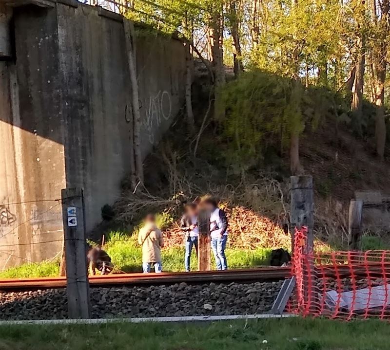 Ondanks 100 waarschuwingen per dag ...