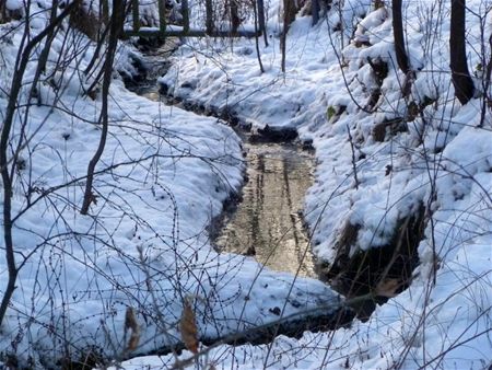 Ook een rustige winterwandeling was mogelijk