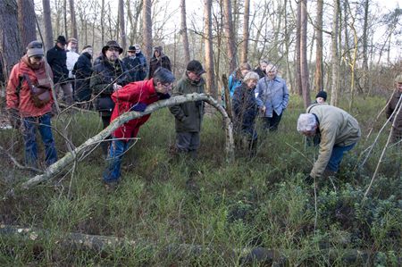 Op wandel door de natuur van Terlaemen