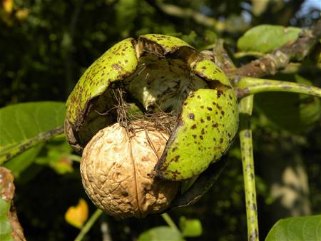 Op weg naar de vrijheid