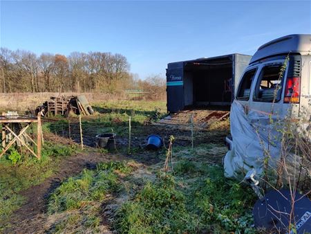 Opnieuw 7 paarden in beslag genomen