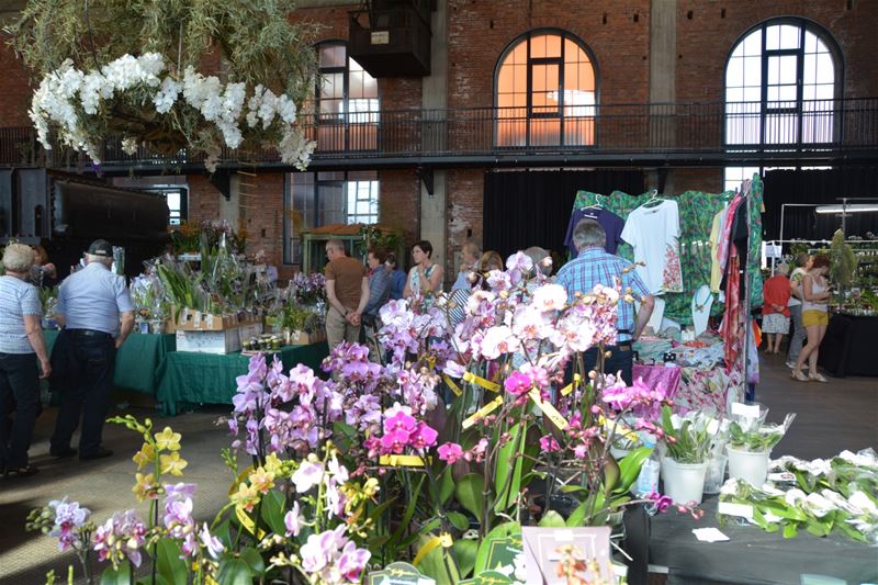 Orchilim is aan zijn laatste dag toe