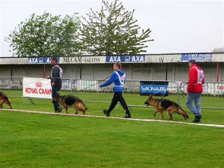 Overmorgen topevent voor Duitse herders op Helzold