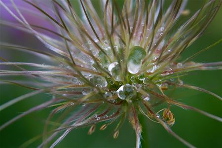 Raindrops keep falling ...