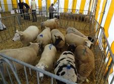 Rechter in kortgeding: verbod minister blijft