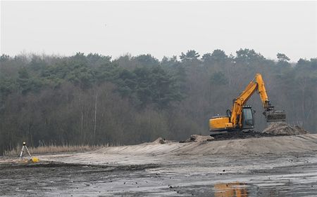 Rieteilandjes voor de roerdomp