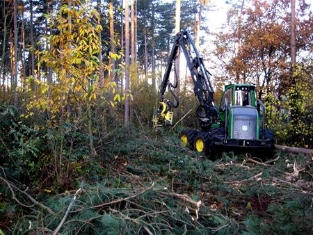 Rooien Sint-Jansbos is gestart
