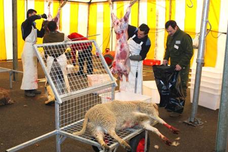 Schaap slachten? Eerst bon kopen