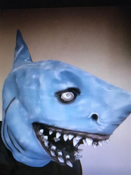 Schans en Luchtballon hebben Masked Teacher