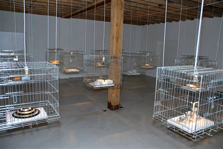 'Schitterend zilver' in De Mijlpaal