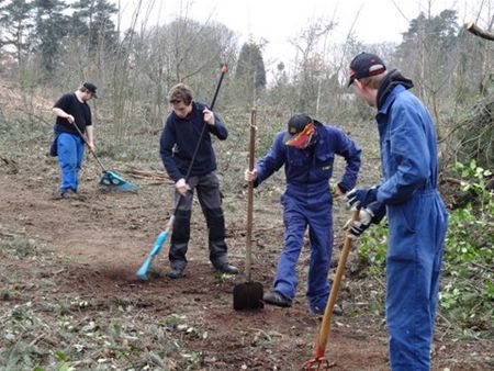 Sint-Jansbos klaar voor boomplantactie