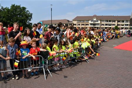 Sire, er zijn toch nog Belgen