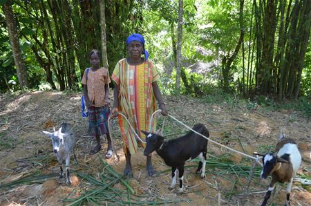 Steun voor het zuiden (12): Haïti
