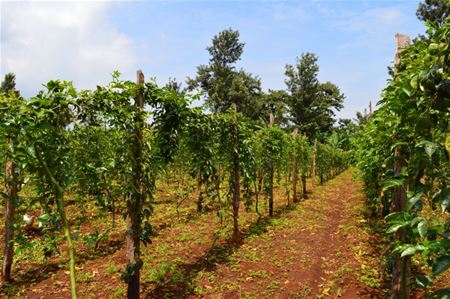 Steun voor het zuiden (slot): Tanzania