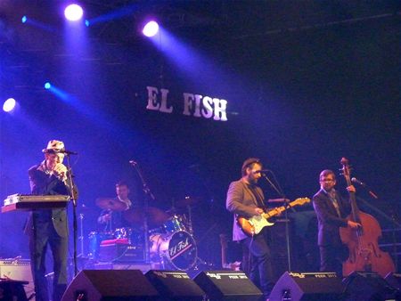 Steven de Bruyn beroert bluesfestival