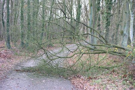Storm zorgt voor problemen