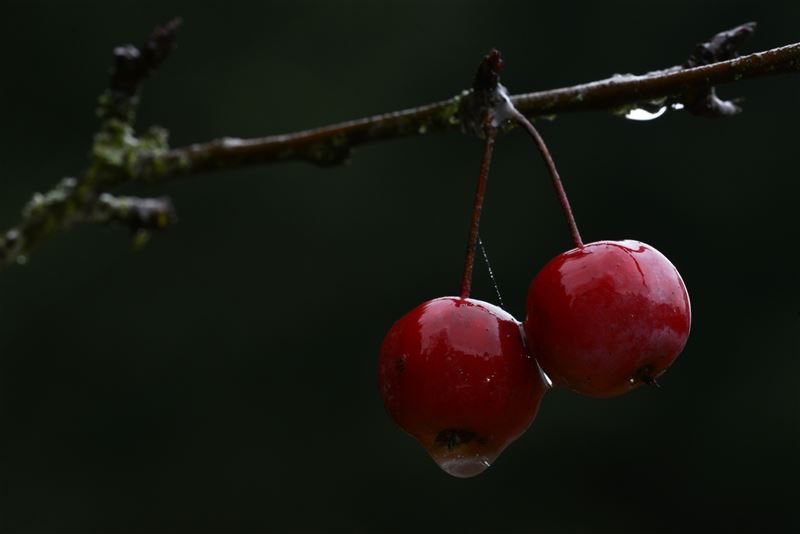 't Kan verwarrend zijn ...