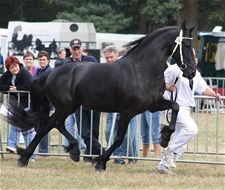 't Wordt een razend druk weekend