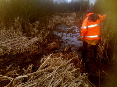 Taaie studiekluif voor de PXL