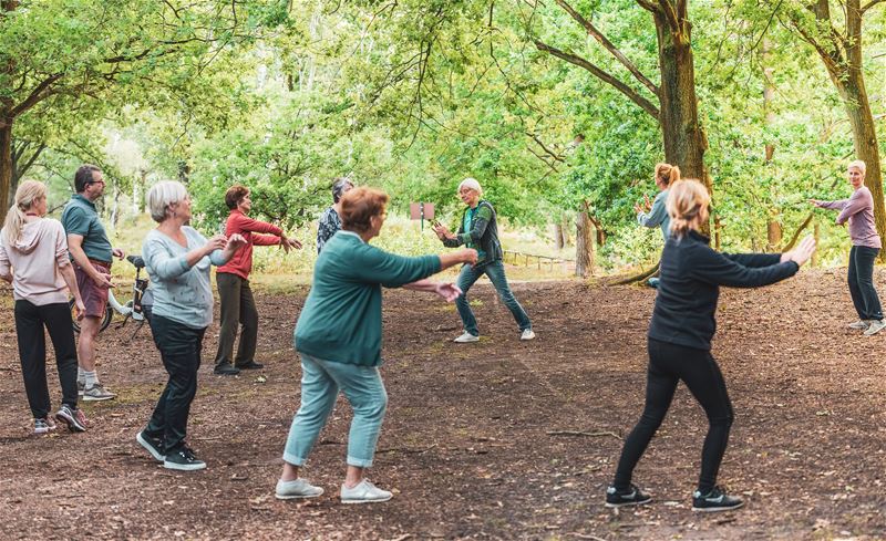 Tai chi aan de Kluis in Bolderberg