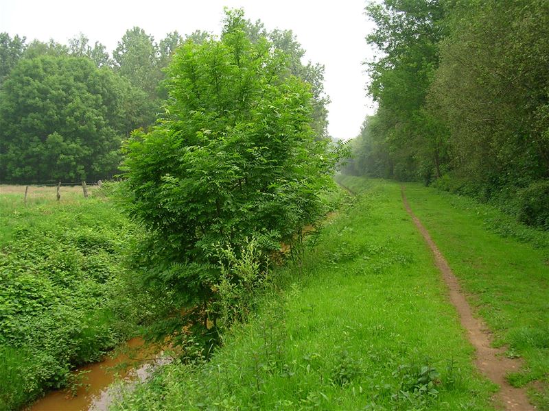 Tegen 2022 moet netwerk trage wegen klaar zijn