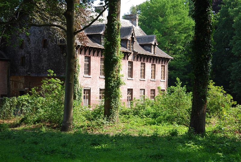 Topfilms kijken in het bos in augustus