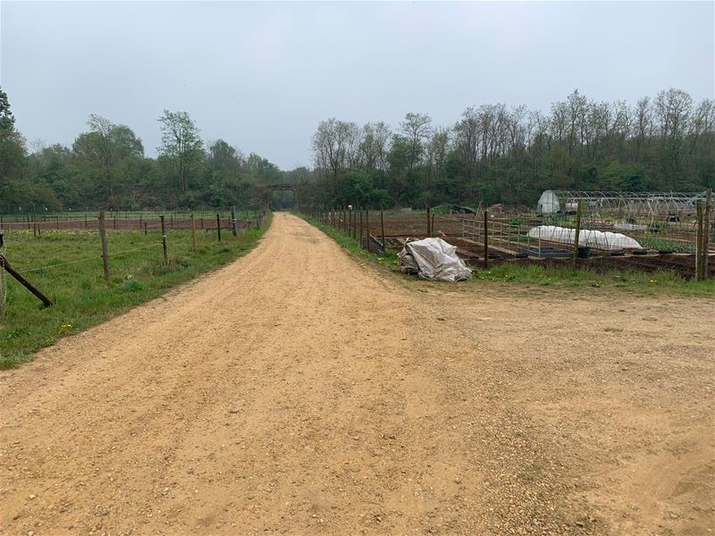 Trage Weg 4960 door 't Heusdens Broek