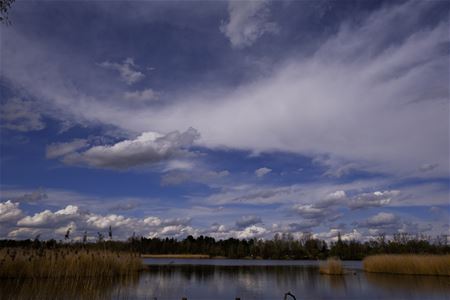 Tussen Bolderberg en Heidestrand ...