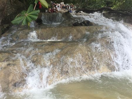 Tussen Rasta en Reggae ...