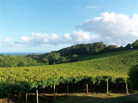 Vakantiegroeten uit ... Baskenland