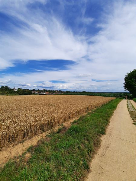 Vakantiegroeten uit Borgloon