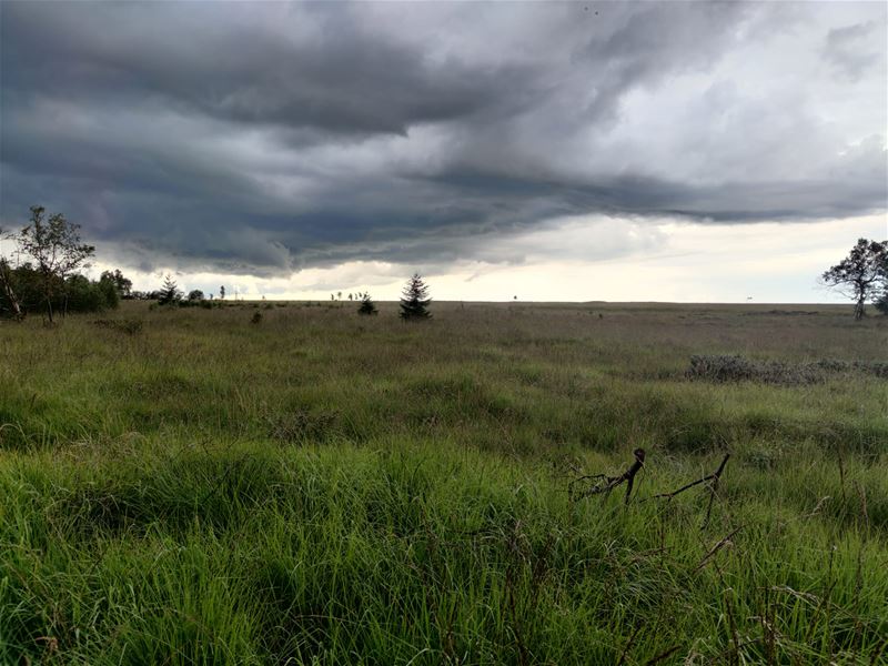 Vakantiegroeten uit de Hoge Venen