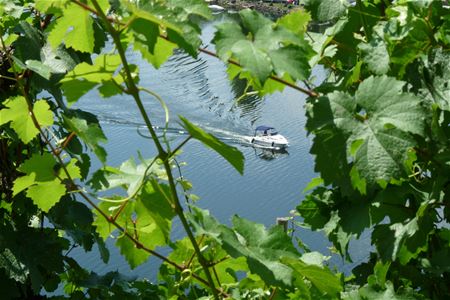 Vakantiegroeten uit de Moezelvallei