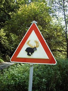 Vakantiegroeten uit ... Duitsland