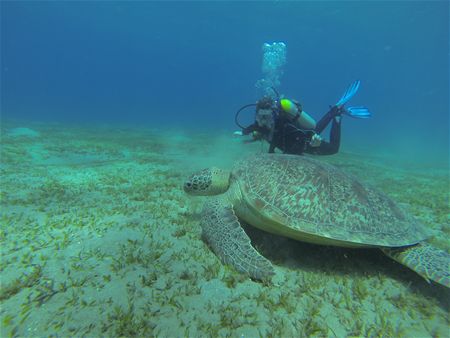 Vakantiegroeten uit Egypte
