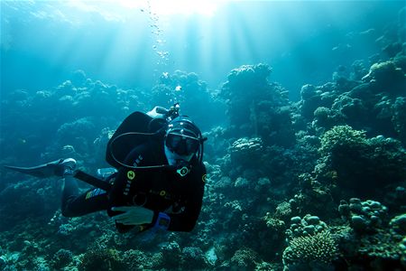 Vakantiegroeten uit ... Egypte