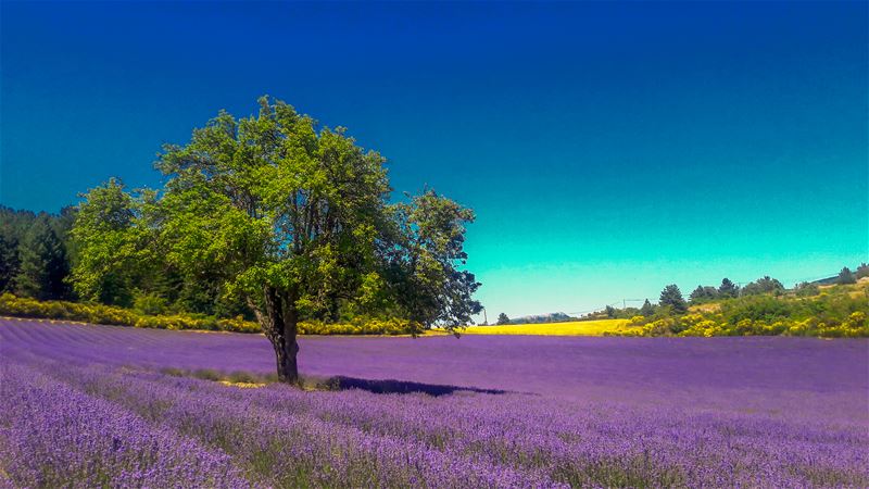 Vakantiegroeten uit Frankrijk