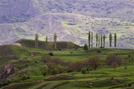 Vakantiegroeten uit Georgië