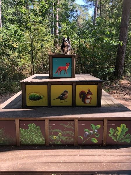 Vakantiegroeten uit Hechtel-Eksel