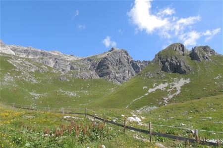 Vakantiegroeten uit het Lechtal